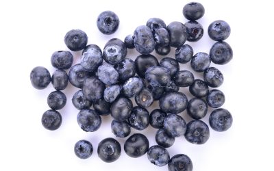 blueberry on white background