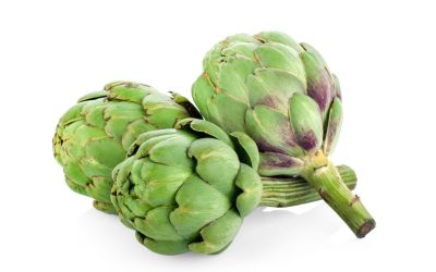 artichoke isolated on white background