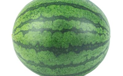 watermelon Fruit on isolated white background.clipping path obje