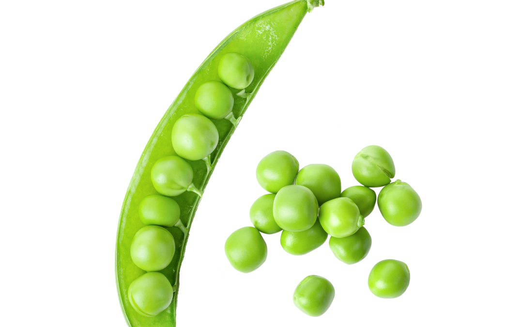 Week 6 – Sweet Pea