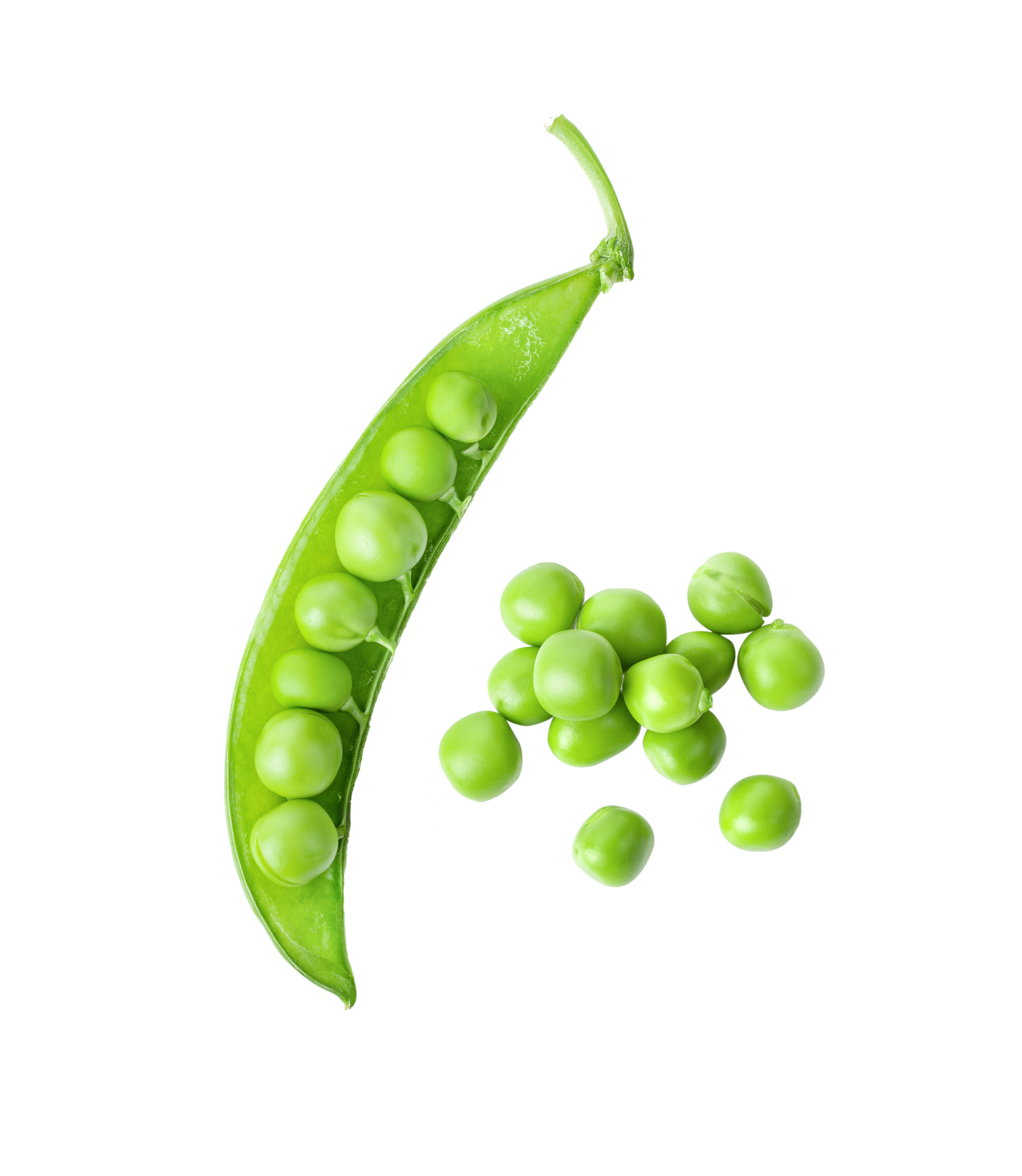 AdobeStock 545156613