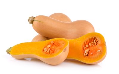 butternut squash on white background