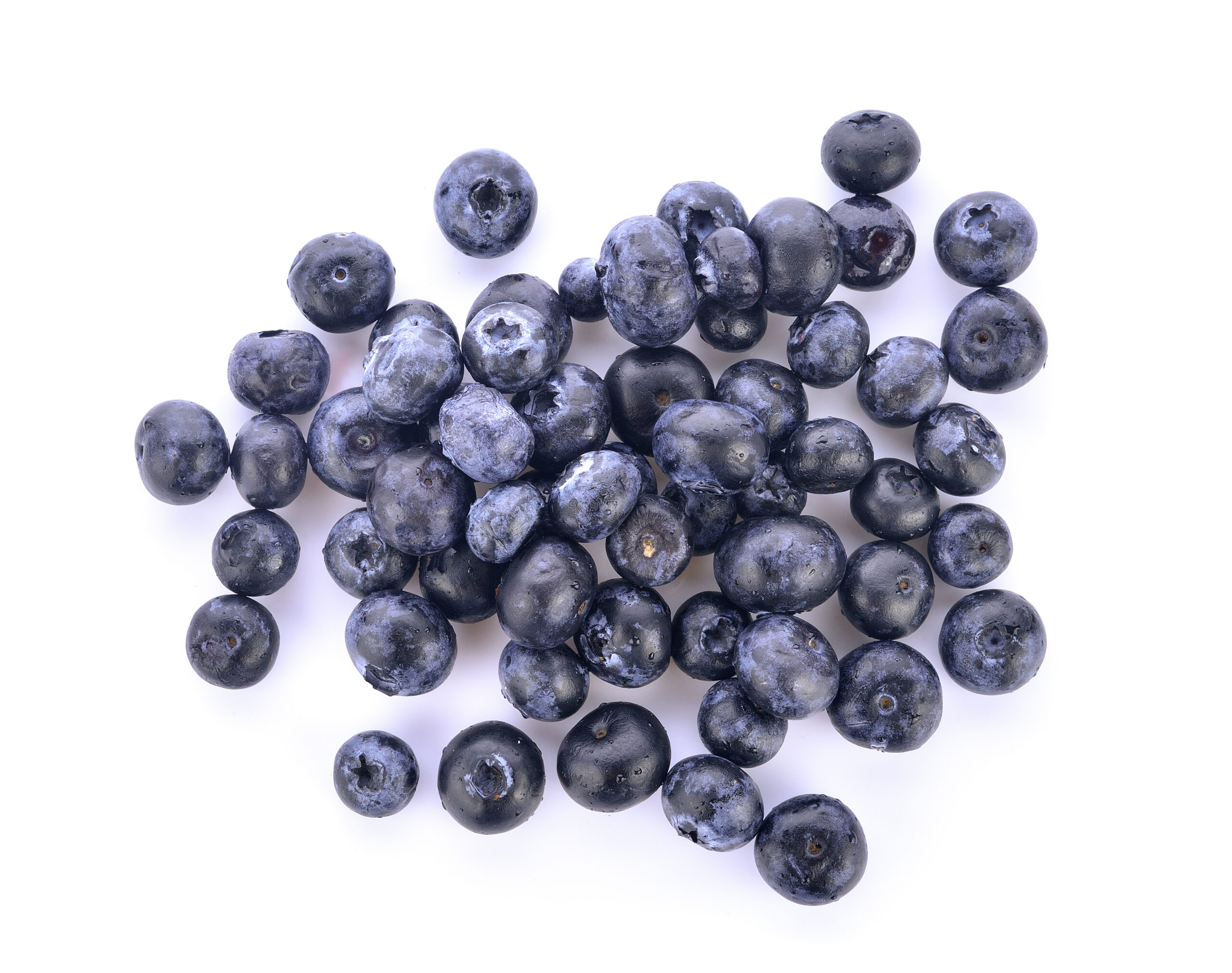 blueberry on white background