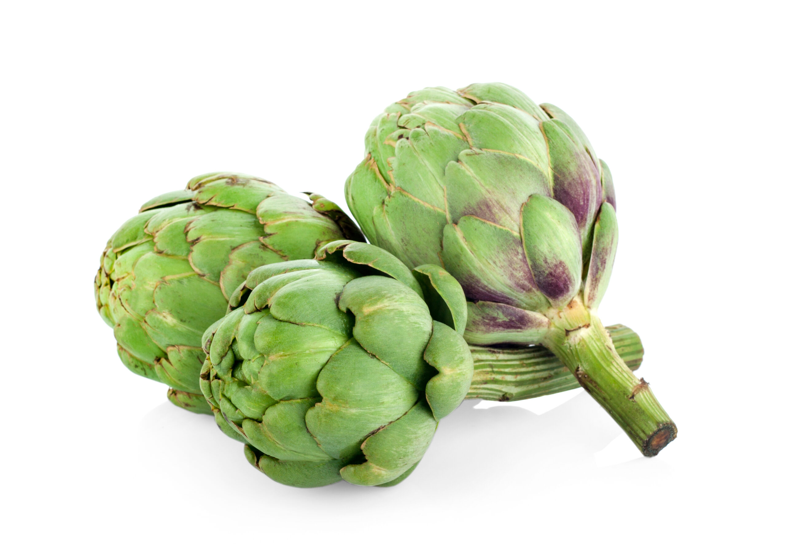 artichoke isolated on white background
