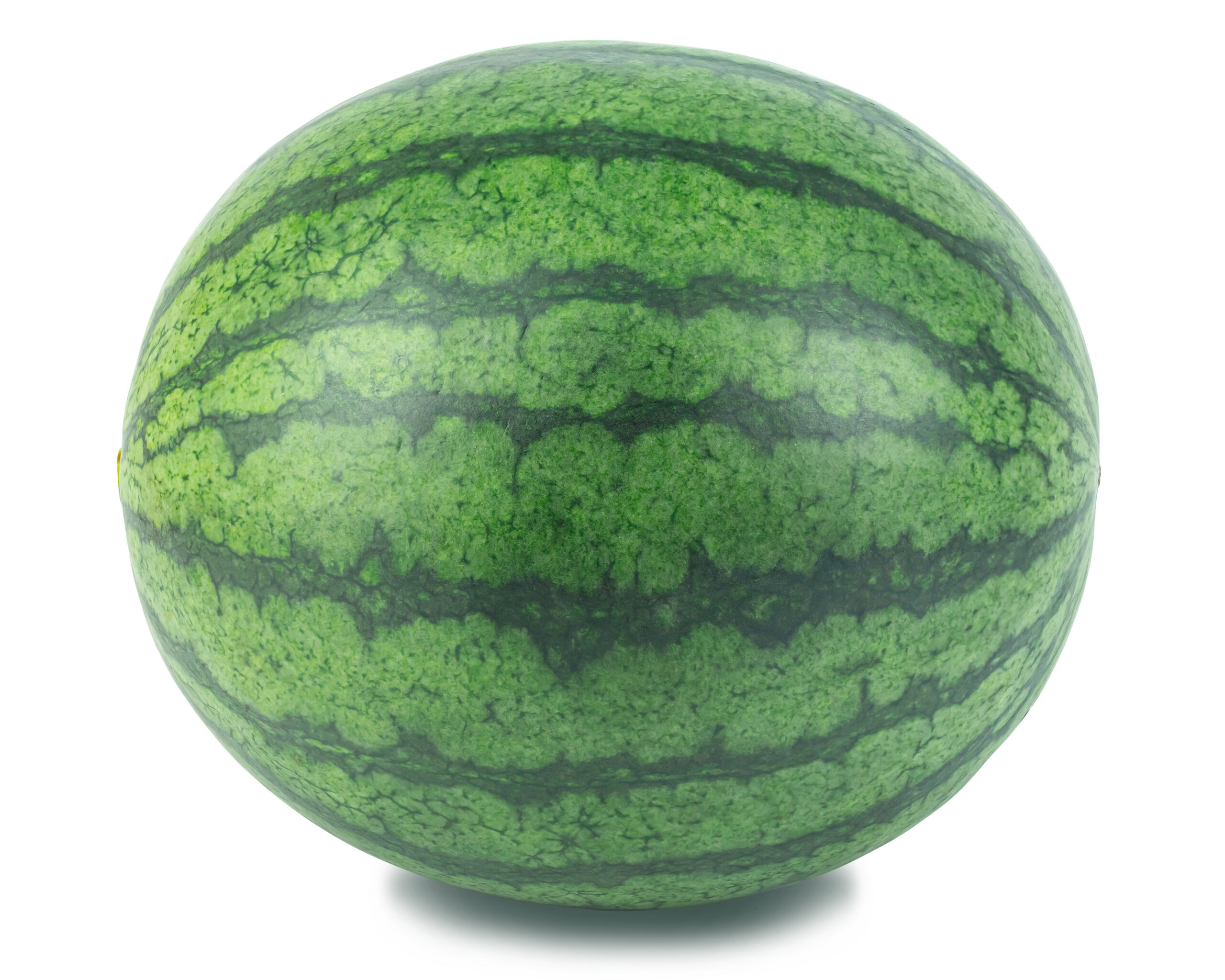 watermelon Fruit on isolated white background.clipping path obje