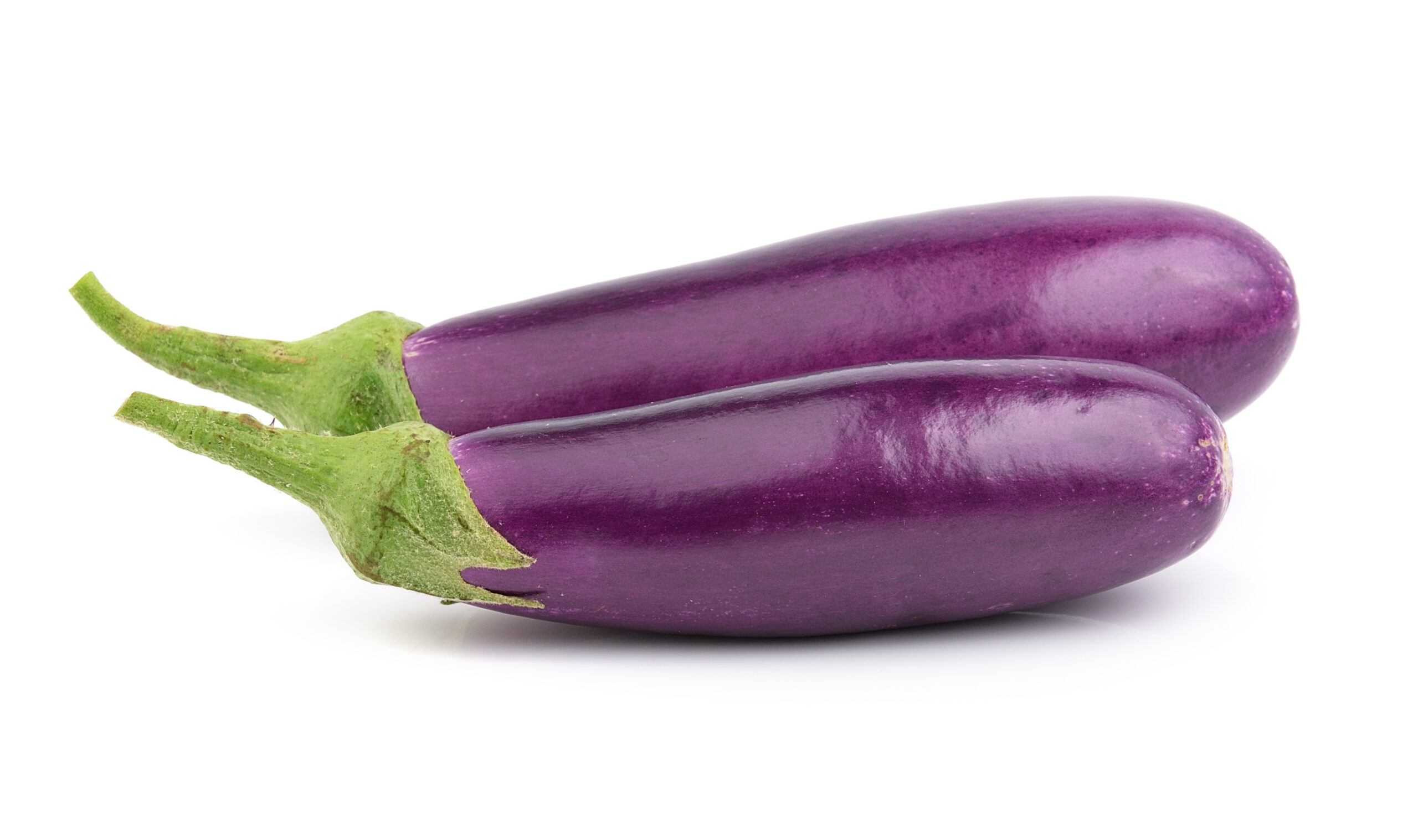 egg plant on white background